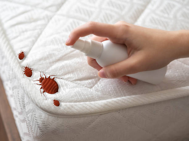 Best Mosquito Control Services  in Wellington, FL