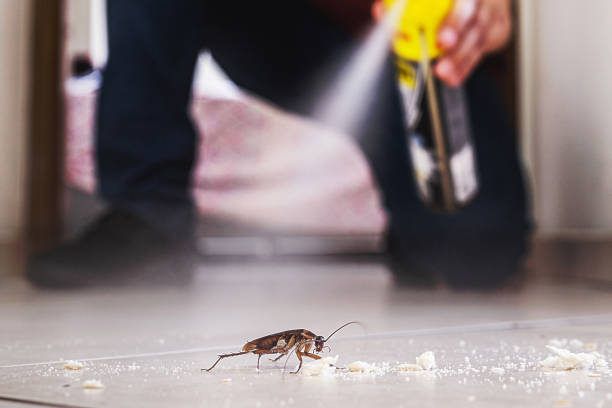 Best Cockroach Control Services  in Wellington, FL