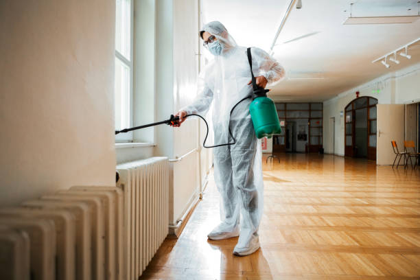 Best Flea Control Services  in Wellington, FL