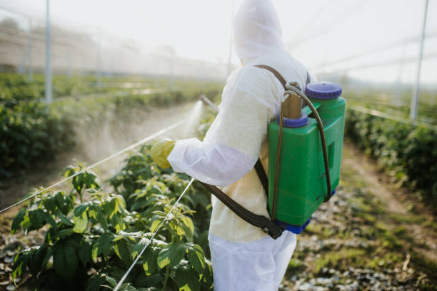 Best Exterminator Services  in Wellington, FL